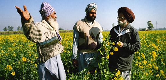 Local farmers